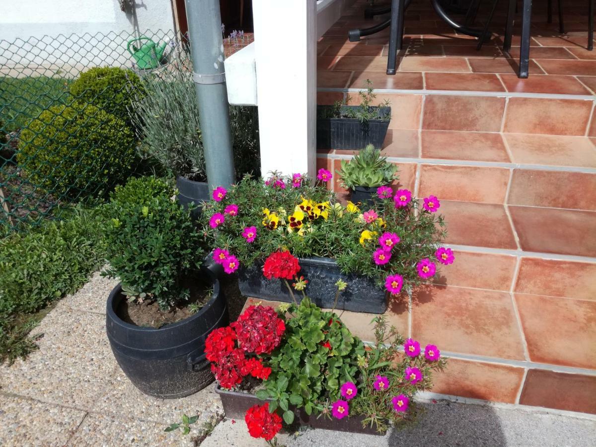 Apartmani Oletic 4* Sveti Martin Na Muri Exterior photo