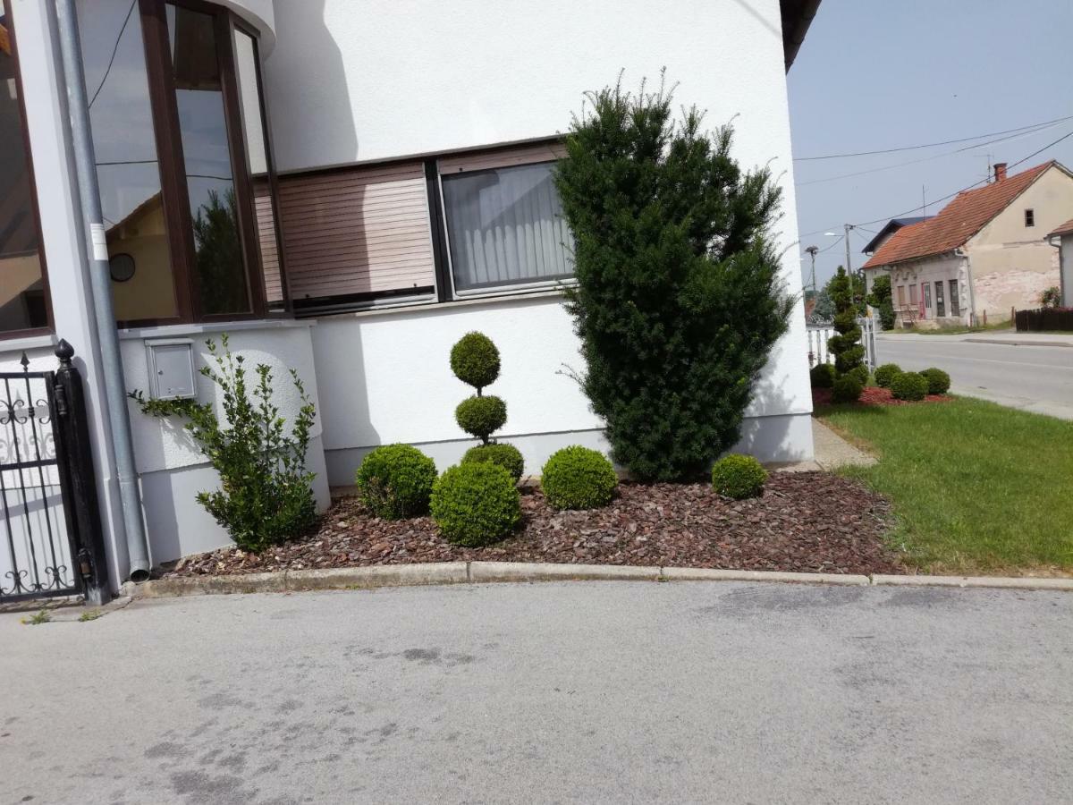 Apartmani Oletic 4* Sveti Martin Na Muri Exterior photo